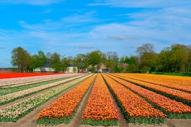 Similar image 22424081