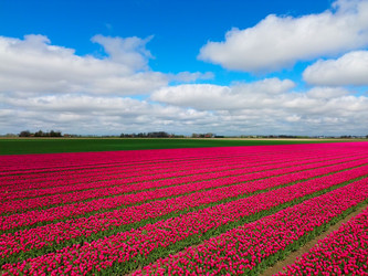 Similar image 22424084