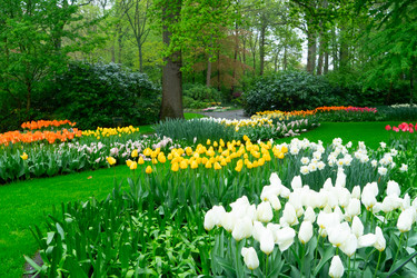 Similar image 22424088