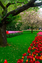 Similar image 22424089