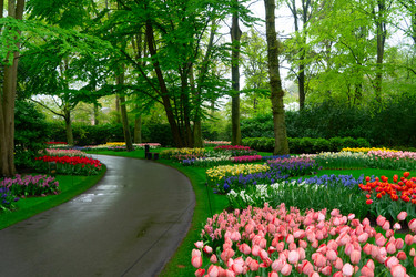 Similar image 22424090