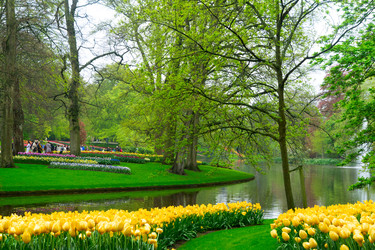 Similar image 22424091