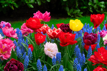 Similar image 22424093