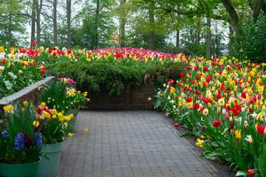 Similar image 22424095