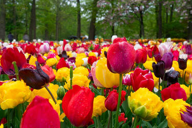 Similar image 22424097