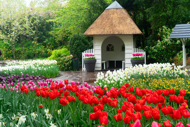 Similar image 22424098