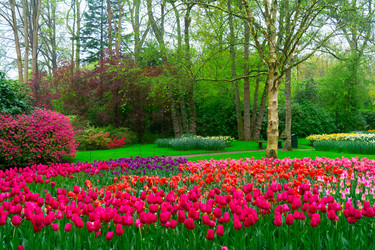 Similar image 22424099