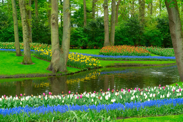 Similar image 22424100