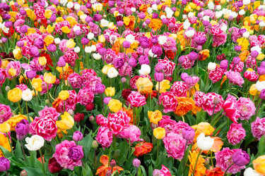 Similar image 22424117