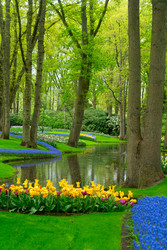 Similar image 22424123