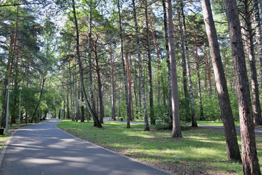 Similar image 22403783