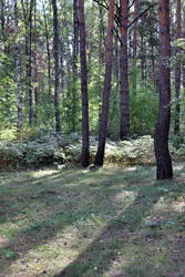 Similar image 22403784