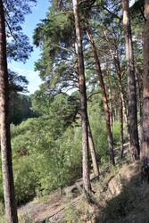 Similar image 22403786