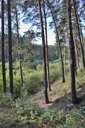 Similar image 22403795