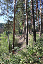 Similar image 22403797