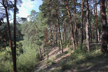 Similar image 22403798