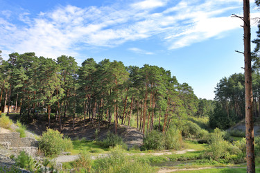 Similar image 22403800