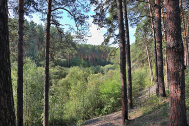 Similar image 22403804