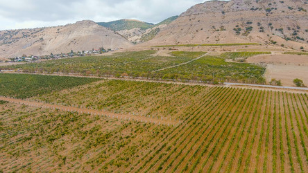 Similar image 22405007