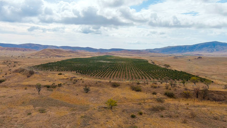 Similar image 22404515