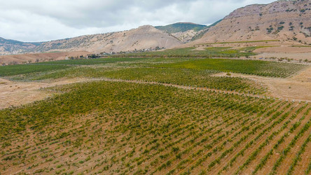 Similar image 22404801