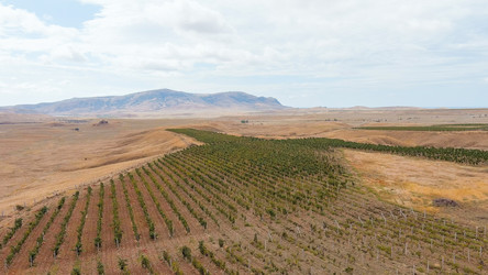 Similar image 22404874