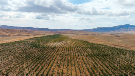 Similar image 22404905