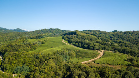 Similar image 22405062