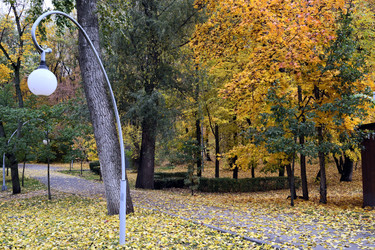 Similar image 22404585