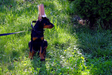 Similar image 22404587