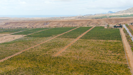 Similar image 22404807