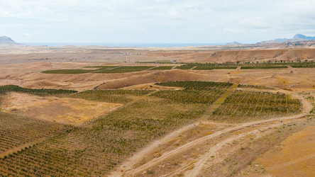 Similar image 22404833