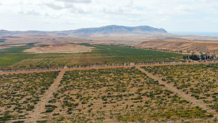 Similar image 22404929