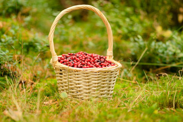 Similar image 22425827