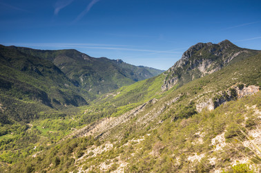 Similar image 22404000