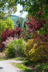 Similar image 22404002