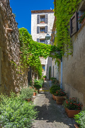 Similar image 22404015