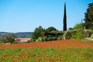 Similar image 22403886