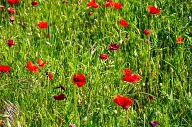 Similar image 22403891