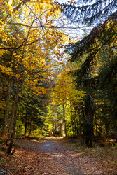 Similar image 22404393