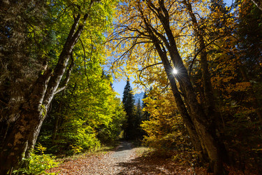 Similar image 22404394