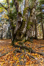 Similar image 22404409