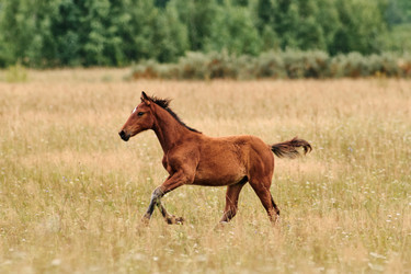 Similar image 22404569