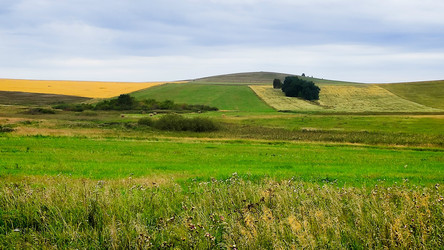 Similar image 22403537