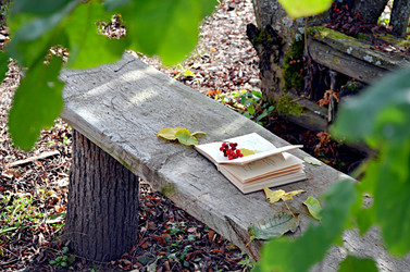 Similar image 22404358