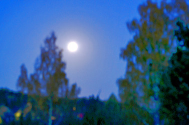 Similar image 22404360