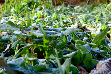 Similar image 22404361