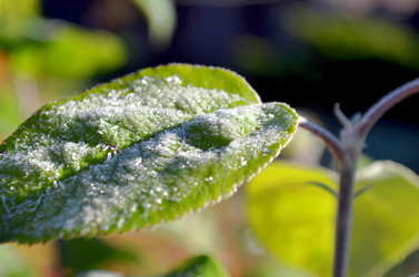 Similar image 22404362