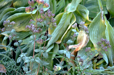 Similar image 22404363