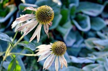 Similar image 22404364